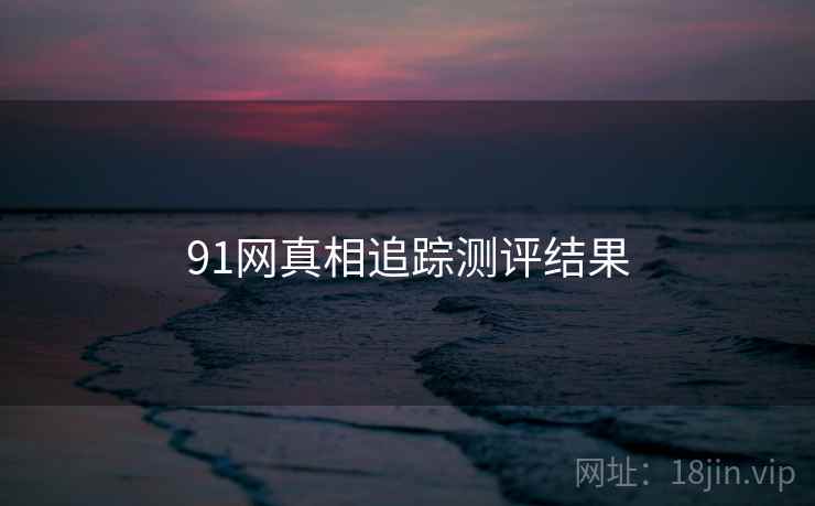 91网真相追踪测评结果