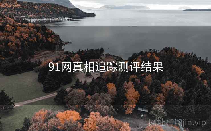 91网真相追踪测评结果
