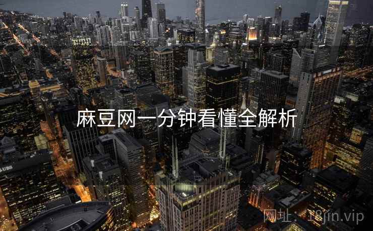 麻豆网一分钟看懂全解析
