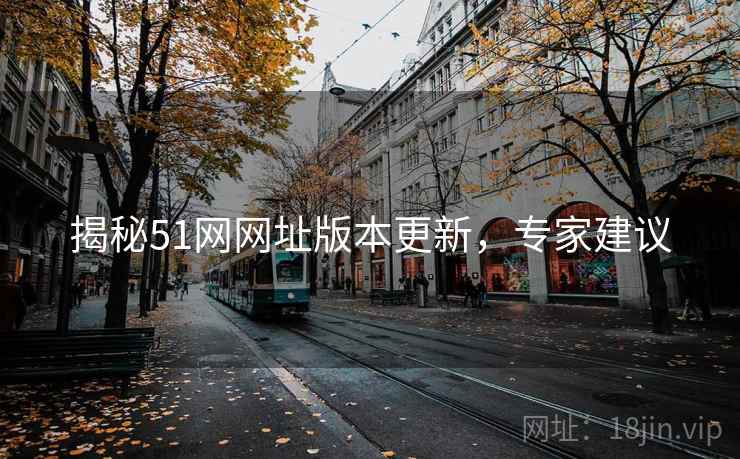 揭秘51网网址版本更新，专家建议