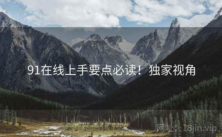 91在线上手要点必读！独家视角