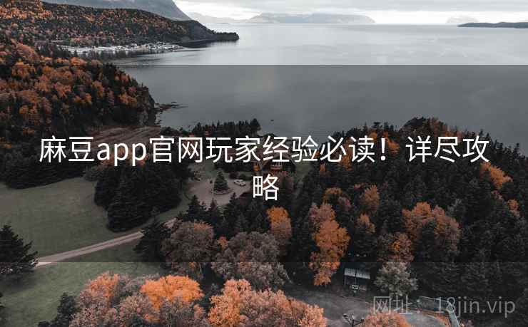 麻豆app官网玩家经验必读！详尽攻略