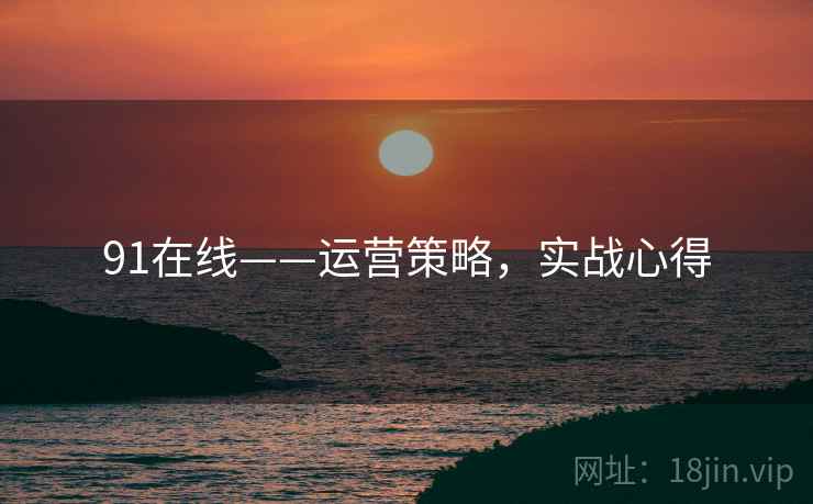 91在线——运营策略，实战心得