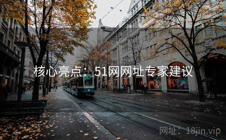 核心亮点：51网网址专家建议