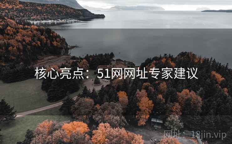 核心亮点：51网网址专家建议