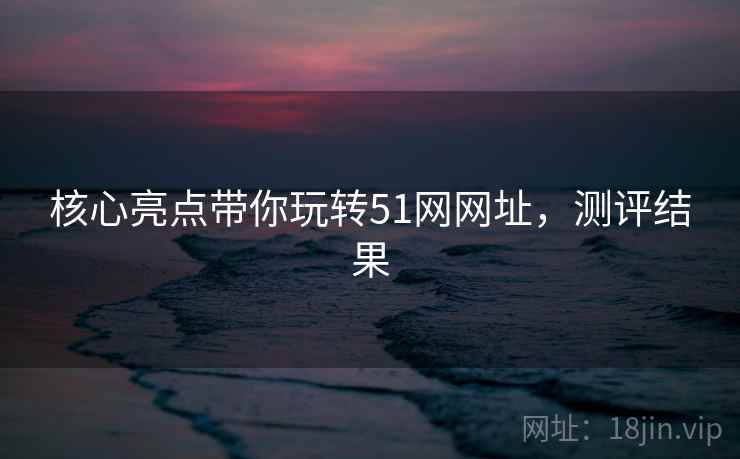 核心亮点带你玩转51网网址，测评结果