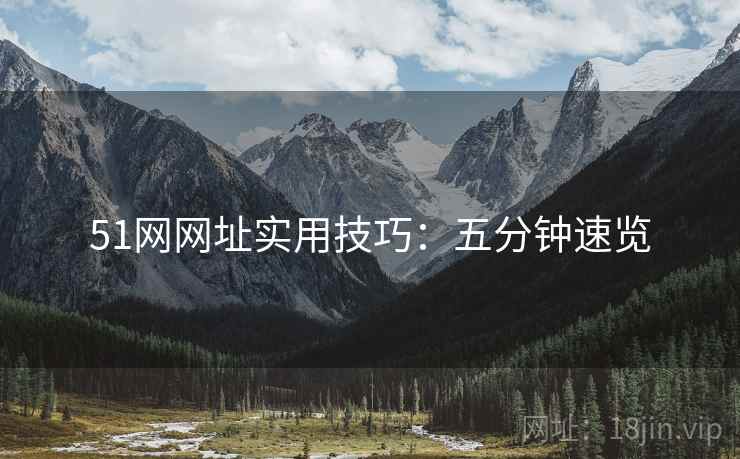 51网网址实用技巧：五分钟速览