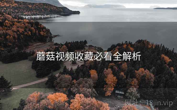 蘑菇视频收藏必看全解析
