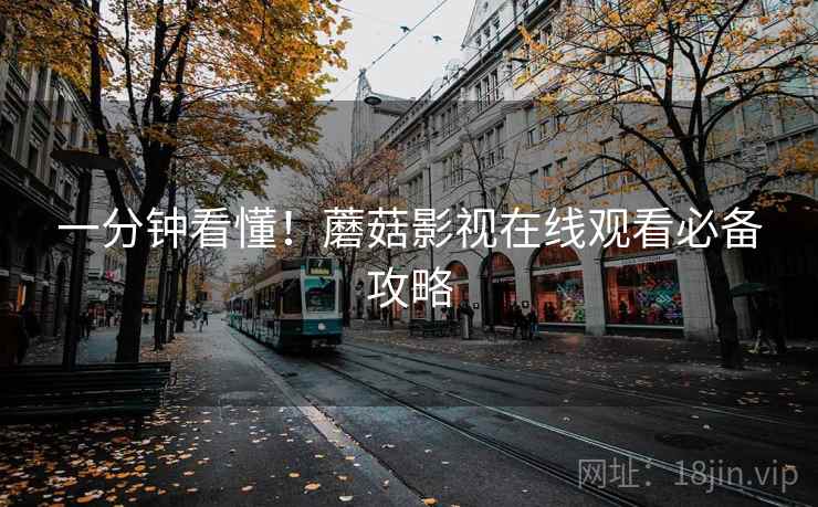 一分钟看懂！蘑菇影视在线观看必备攻略