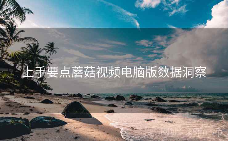 上手要点蘑菇视频电脑版数据洞察