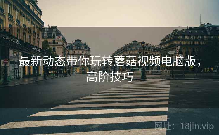 最新动态带你玩转蘑菇视频电脑版，高阶技巧