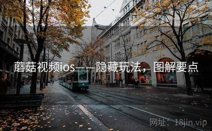 蘑菇视频ios——隐藏玩法，图解要点