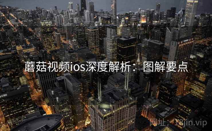 蘑菇视频ios深度解析：图解要点