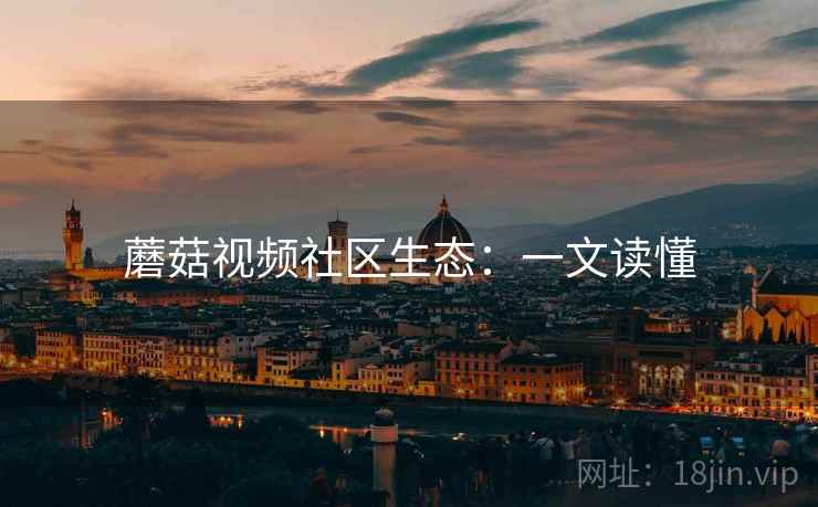 蘑菇视频社区生态：一文读懂