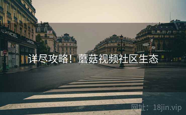 详尽攻略！蘑菇视频社区生态