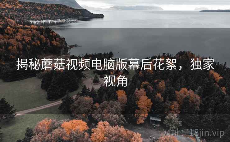 揭秘蘑菇视频电脑版幕后花絮，独家视角