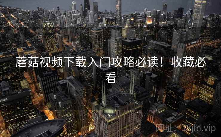蘑菇视频下载入门攻略必读！收藏必看