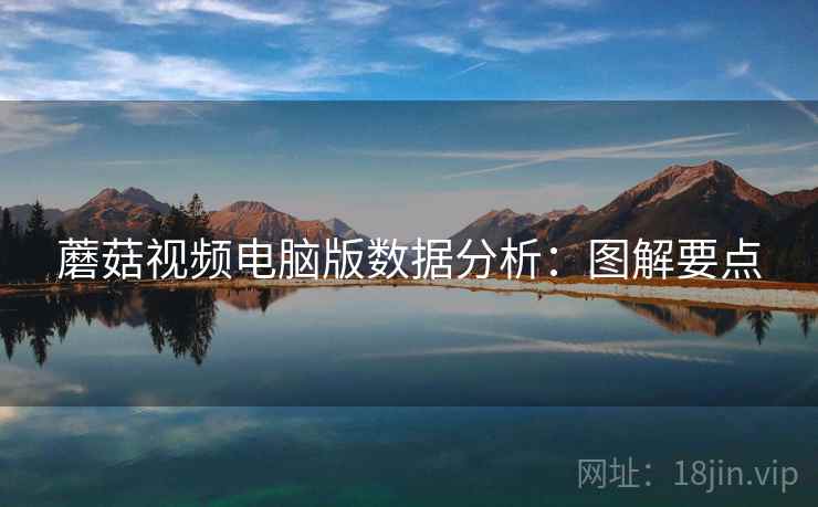 蘑菇视频电脑版数据分析：图解要点
