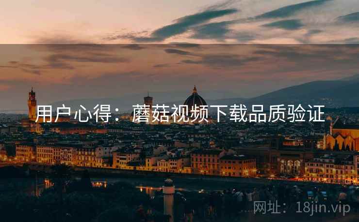 用户心得：蘑菇视频下载品质验证