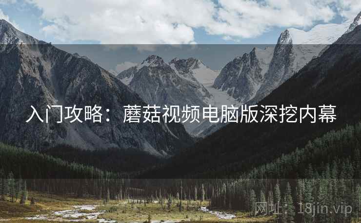 入门攻略：蘑菇视频电脑版深挖内幕