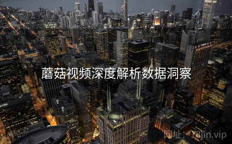 蘑菇视频深度解析数据洞察