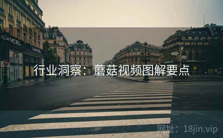 行业洞察：蘑菇视频图解要点