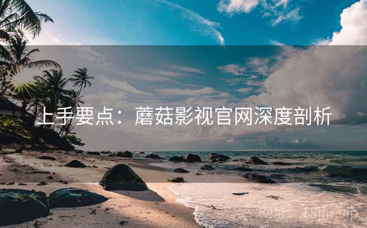 上手要点：蘑菇影视官网深度剖析