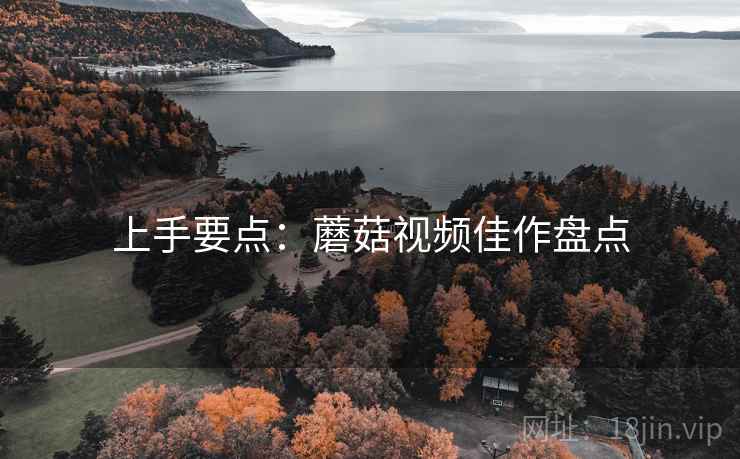 上手要点：蘑菇视频佳作盘点